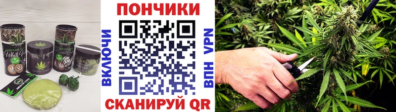 ОМГ ОМГ онион  Сясьстрой  Печенье с ТГК конопля  купить  сайты 
