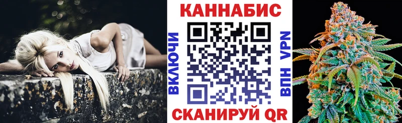 наркотики Сясьстрой Шишки марихуана конопля